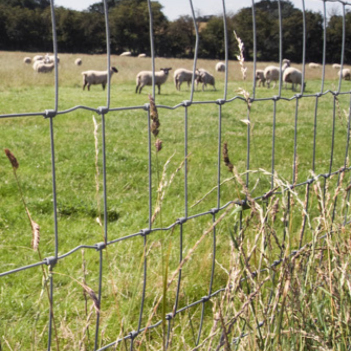 Tela Ganadera / Borreguera Rollo 50 Metros X 1.67 Metros