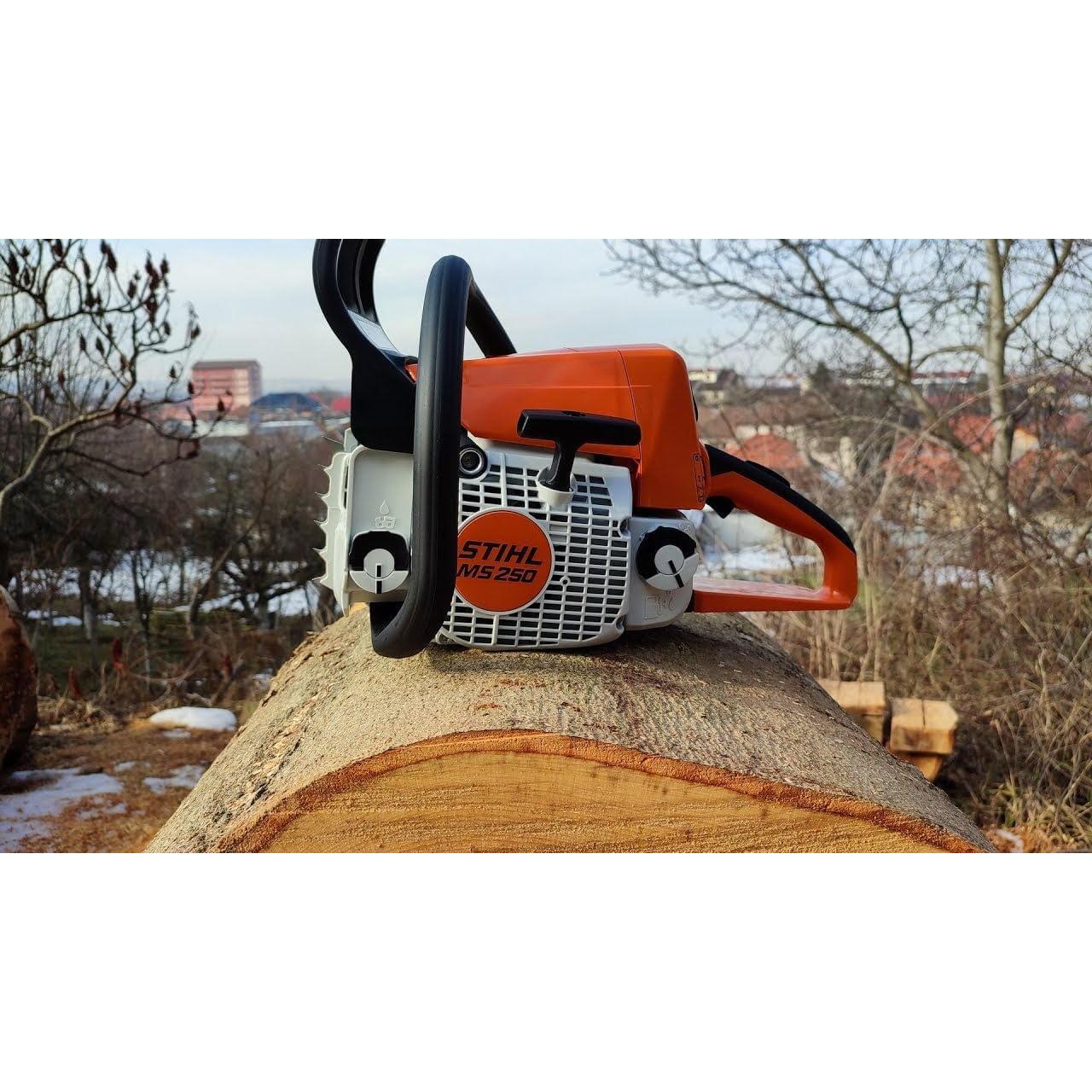 Stihl - Sierra de cadena de hierro fundido MS-250 con barra de 50.8 centímetros