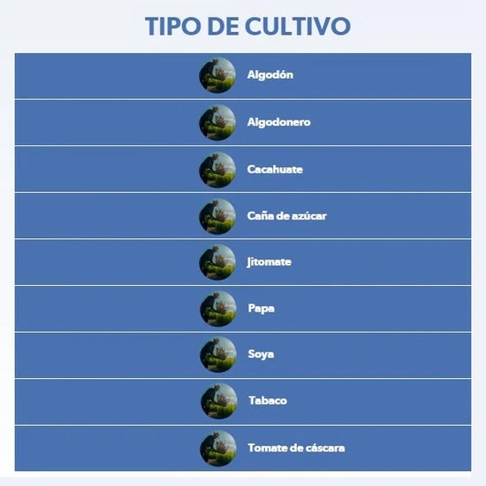 VELSOR 600 CAJA DE 12LT